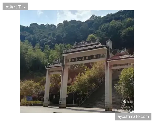 包月、包年的绿道“会员服务”崭露头角，标志着运营重点从引流转向用户留存
